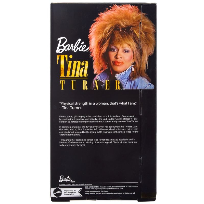 Boneca-Articulada---Barbie---Tina-Turner---Mattel-11