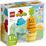 LEGO-Duplo---Cenoura-Crescendo---10981-0