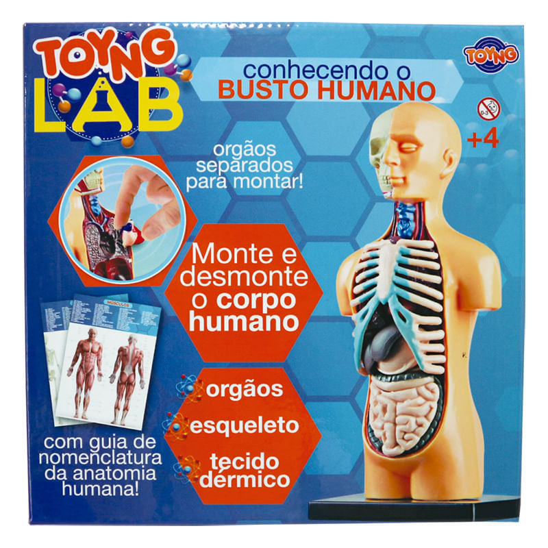 Jogo-Educativo---Conhecendo-o-Busto-Humano---Toyng-0