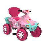 Quadriciclo---Passeio-e-Pedal---Smart---Bandeirante---Rosa-3