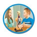 Jogo-Educativo---Lab---Corpo-Humano---1-Jogador---Estrela-1