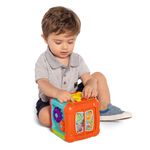 Brinquedo-Infantil---Cubo-Divertido---Calesita-3