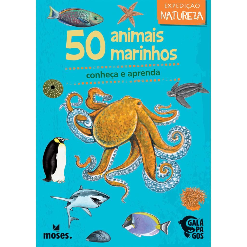 Jogo de Cartas 50 Dinossauros Expedição Natureza Galápagos Jogos -  GALAPAGOS - Jogos de Cartas - Magazine Luiza