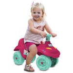 Passo-a-Passo-Baby---Rosa---Bandeirante-1