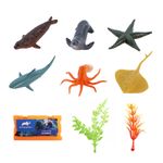 Mini-Figura---Colecao-Oceano-Blister---Animal-Planet---Ebn-0