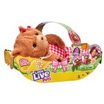 Pelucia-com-Acessorios---Little-Live-Pets---Cozy-Dozy---Fun-5