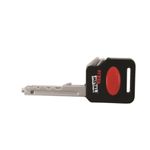 Mini-Carrinho---Burnin--Key-Cars-Asmt---Maisto-2