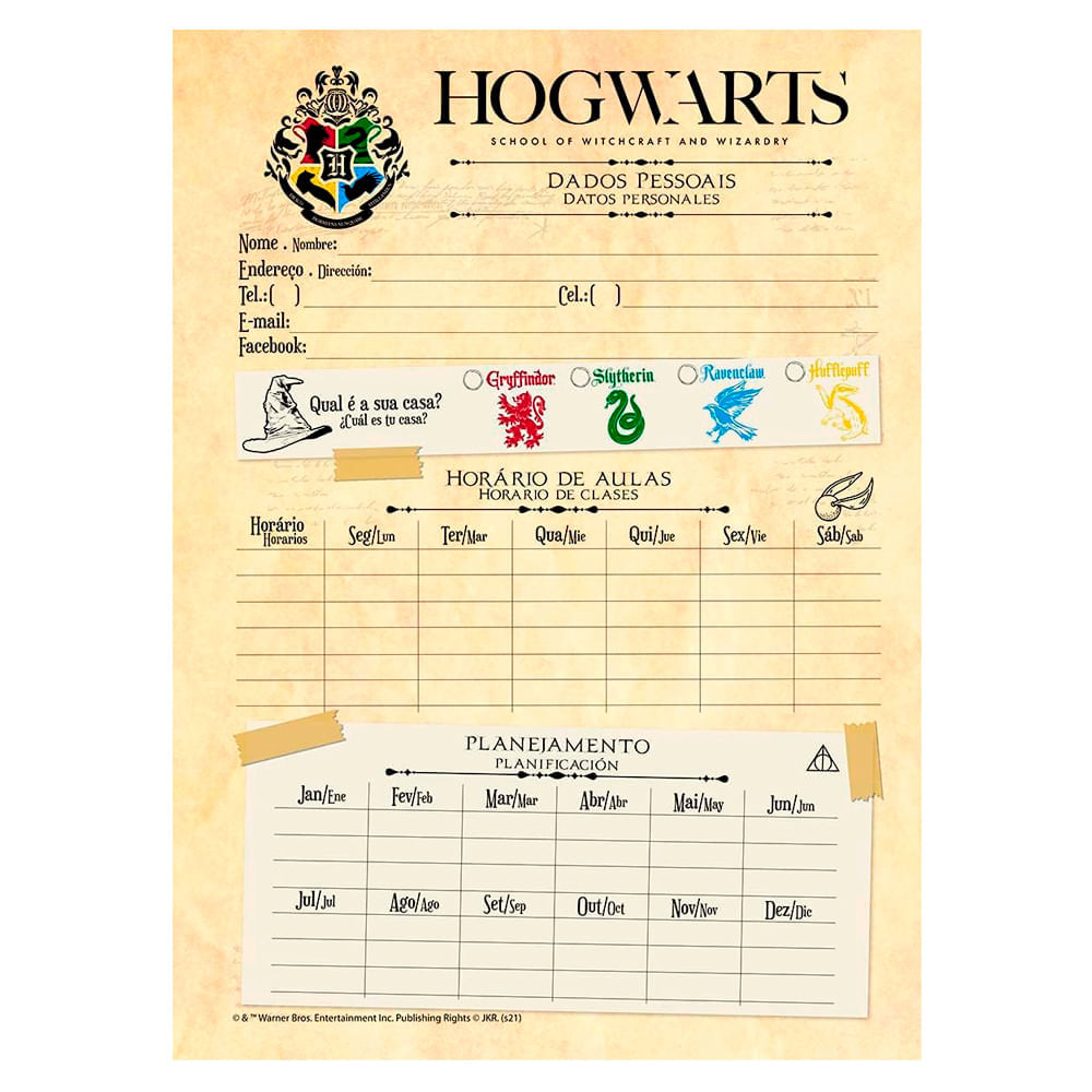 Kit 2 Cadernos Harry Potter Seeker e Dobby 1 Matéria 96 Folhas
