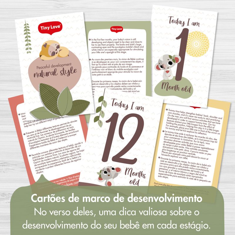 Tapete-Infantil-de-Atividades---Tiny-Love---Boho-Chic---Gymini-Luxe---Dorel-16
