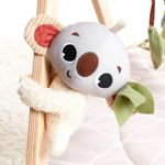 Tapete-Infantil-de-Atividades---Tiny-Love---Boho-Chic---Gymini-Luxe---Dorel-34