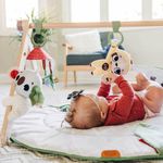 Tapete-Infantil-de-Atividades---Tiny-Love---Boho-Chic---Gymini-Luxe---Dorel-46