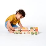 Brinquedo-Infantil---Trenzinho-De-Madeira---Boho-Chic---Tiny-Love---Dorel-6