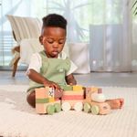 Brinquedo-Infantil---Trenzinho-De-Madeira---Boho-Chic---Tiny-Love---Dorel-10
