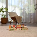 Brinquedo-Infantil---Trenzinho-De-Madeira---Boho-Chic---Tiny-Love---Dorel-17