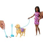 Conjunto-de-Boneca-Articulada-e-Mini-Figura---Barbie---Brooklyn---Passeio-de-Cachorrinho---Mattel-3