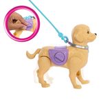 Conjunto-de-Boneca-Articulada-e-Mini-Figura---Barbie---Brooklyn---Passeio-de-Cachorrinho---Mattel-4