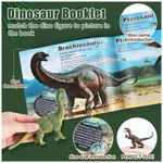 Kit-12-Dinossauros-Jurassicos-Realistas-com-Livreto-foto-B09NSCHB2H_4