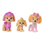 Figura-de-Acao---Patrulha-Canina-O-Filme---Skye---Sunny-2