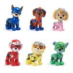 Conjunto-de-Figuras---Patrulha-Canina-O-Filme---Sunny-1