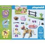 Playmobil---Country---Poneis-Colecionaveis-Alemao---70521---Sunny-4