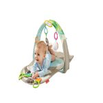 Ginasio-Fisher-Price---Bicho-Preguica---Cinza-1