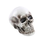 Acessorio-Decorativo---Cranio-Rider---Cromus-1