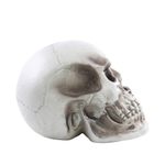Acessorio-Decorativo---Cranio-Rider---Cromus-2