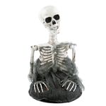 Figura-Decorativa---Caveira-Lancelot---Cromus-0