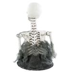 Figura-Decorativa---Caveira-Lancelot---Cromus-1