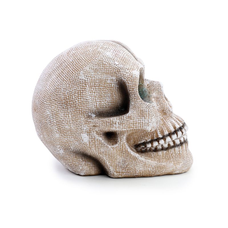 Acessorio-Decorativo---Cranio---Com-Luzes---Cromus-1