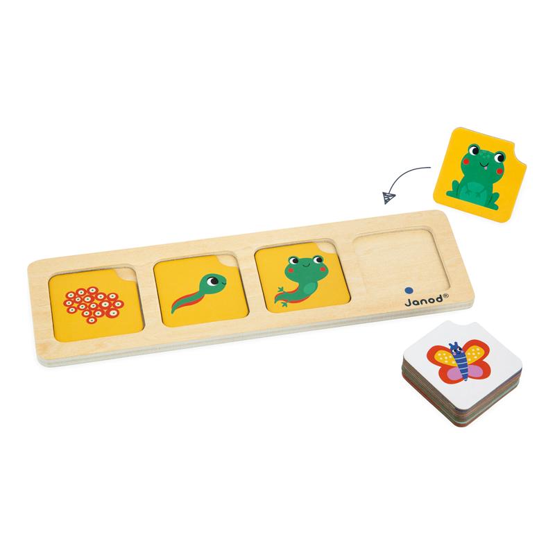 Jogo-Educativo---Aprendendo-Sequencia-Logica-Na-Natureza---Maped-9