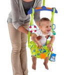 Jumper-de-Porta---Brasbaby---Baby-Einstein---Unissex---Verde-4