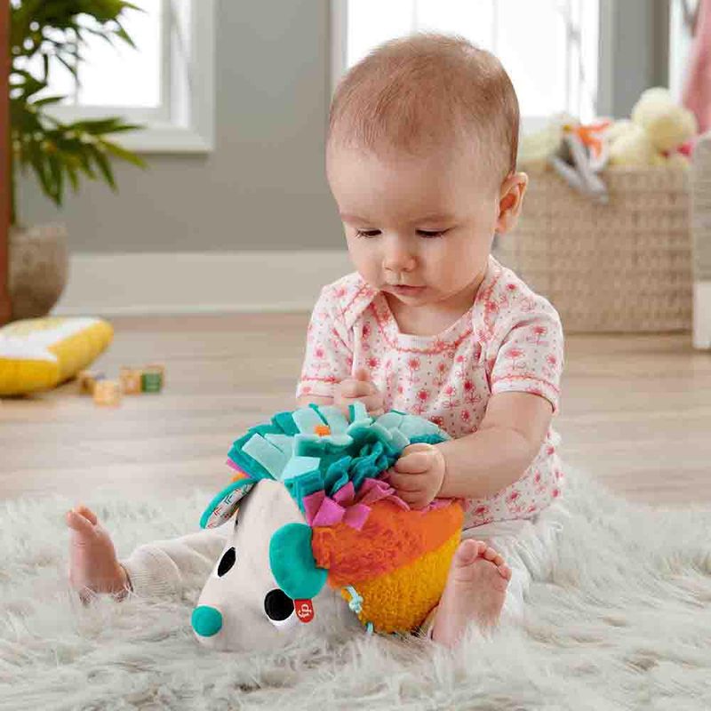 Brinquedo-Educativo---Ourico-Estimulos-e-Brincadeira---Fisher-Price---20cm-4