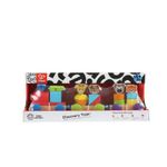 Brinquedo-Infantil-Educativo---Discovery-Train---Baby-Einstein---Colorido---Brasbaby-1