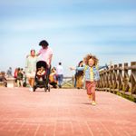 Travel-System-Lila---Trio-Essential---Maxi-Cosi---Cinza-23