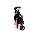 Conjunto-Carrinho-com-Bebe-Conforto---Voyage---Travel-System-Delta-Duo-Pro---Rosa-7