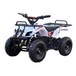 Quadriciclo-Eletrico---800W-36v---Utility-Branco---Drop--Dbs-0