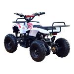 Quadriciclo-Eletrico---800W-36v---Utility-Branco---Drop--Dbs-2