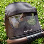Conjunto-de-Carrinho-com-Bebe-Conforto---Travel-System---Maxi-Cosi---Eva-Trio-Essential---Cinza-21