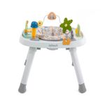 Andador-com-Centro-de-Atividades---Infanti---Play-Center-8