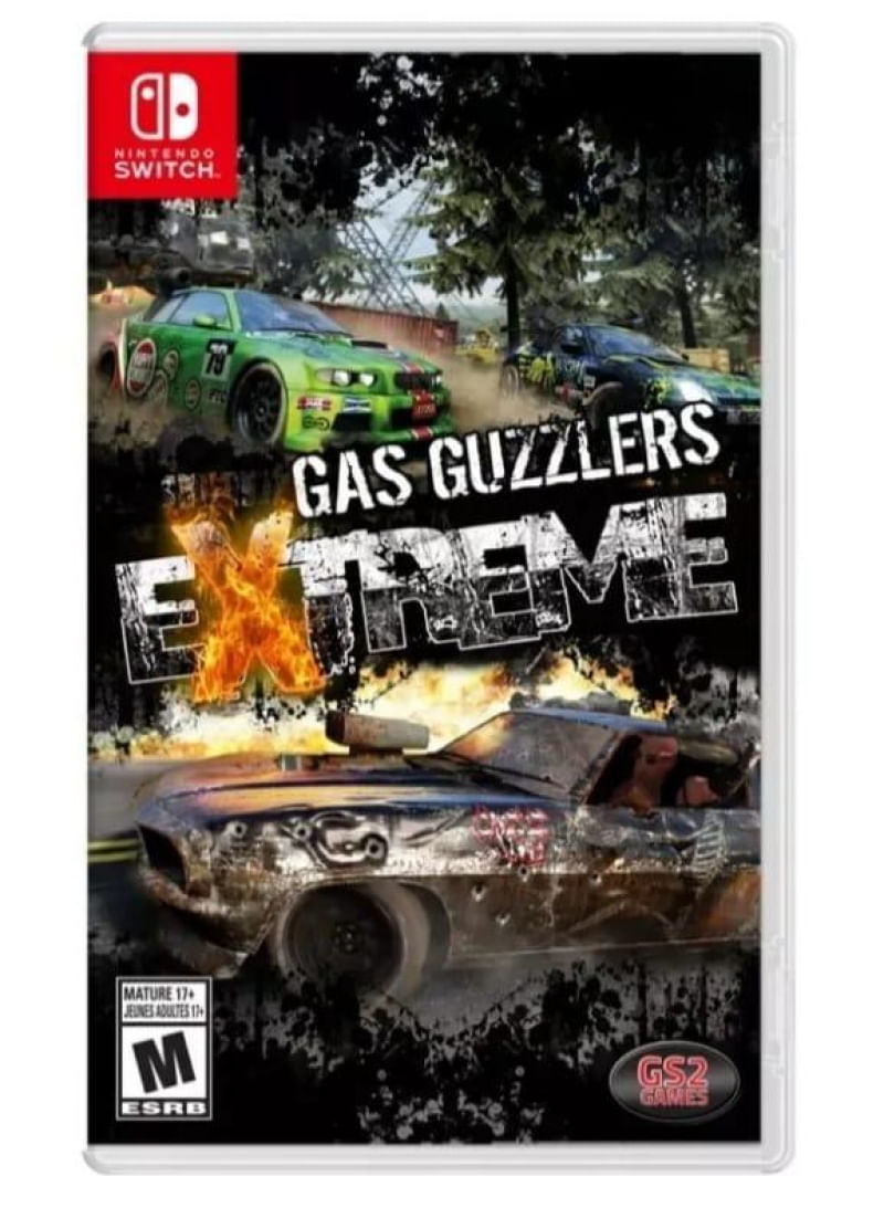 17267003842607