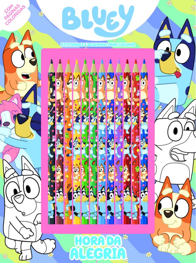 17256265048499