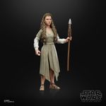 Boneca-Articulada---Star-Wars-The-Black-Series---O-Retorno-de-Jedi---Princesa-Leia---Hasbro-2