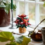 LEGO---Botanicals---Poinsetia---10370-10