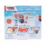 Conjunto-Figura-e-Aviao---Sonic-o-Ourico-3---Sunny-3