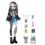 Boneca-Articulada-e-Acessorios---Monster-High---Frankie-Stein---Mattel-0