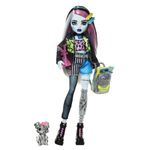 Boneca-Articulada-e-Acessorios---Monster-High---Frankie-Stein---Mattel-1