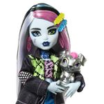 Boneca-Articulada-e-Acessorios---Monster-High---Frankie-Stein---Mattel-2
