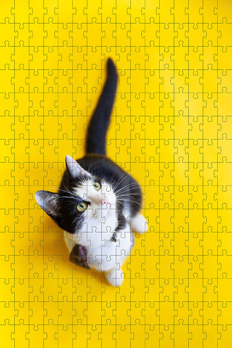 17316686861715