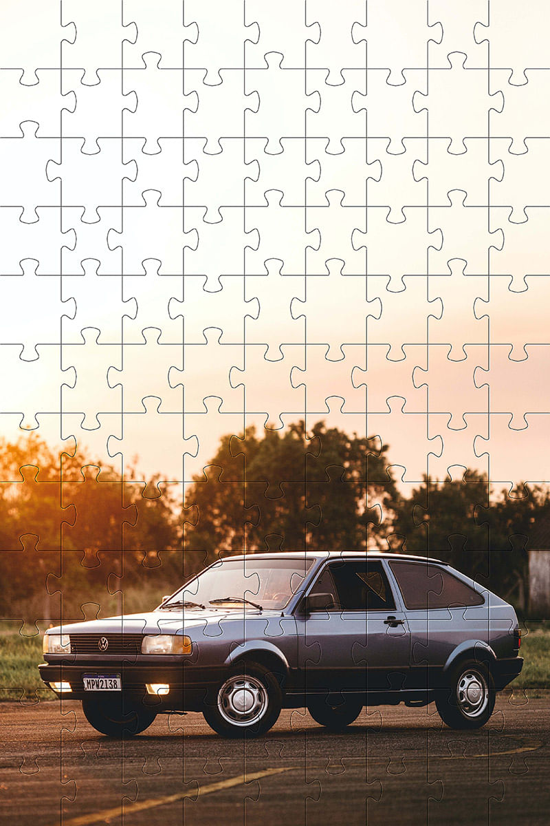 17316686663463
